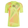 Maillot de Gardien Hongrie Euro 2024 Jaune Pour Homme